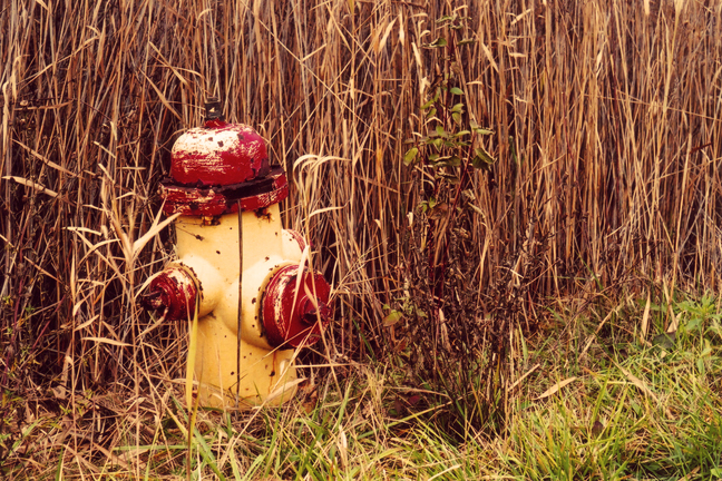 The Lonely Fire Hydrant [#23]  - Click for previous